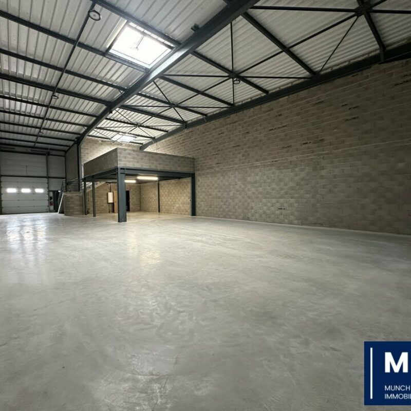 Vente - 781 m² - SOUFFELWEYERSHEIM - 1