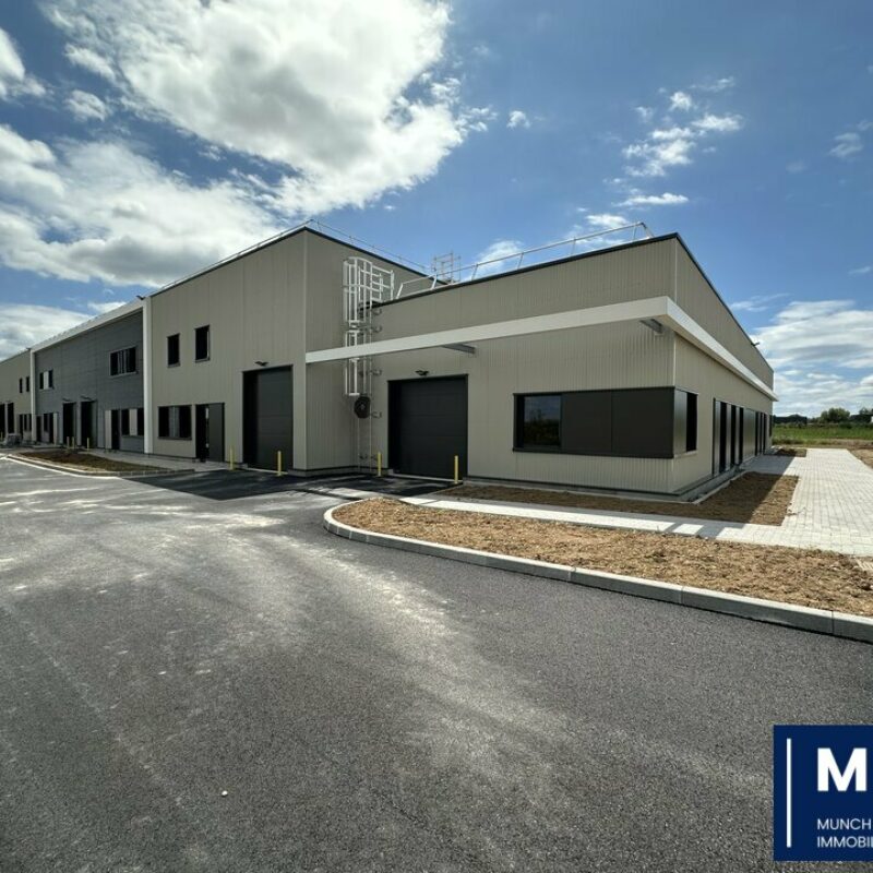 Location - 2878 m² - BERGHEIM - 1