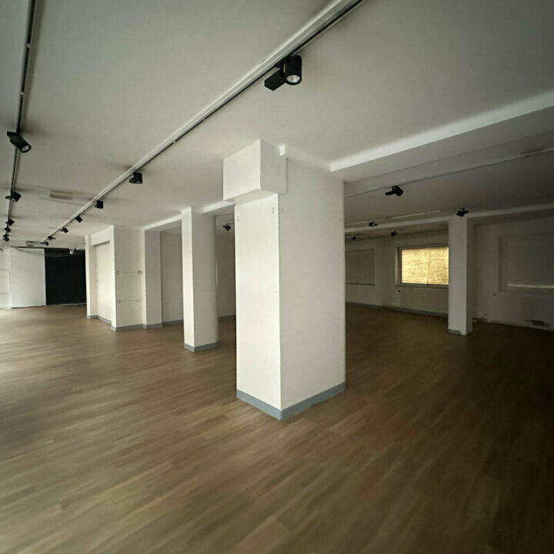 Location - 850.65 m² - STRASBOURG - 5