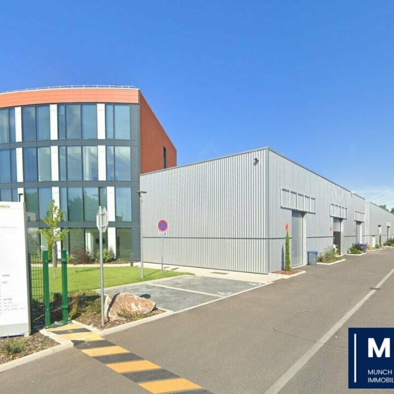 Location - 671 m² - BISCHHEIM - 1