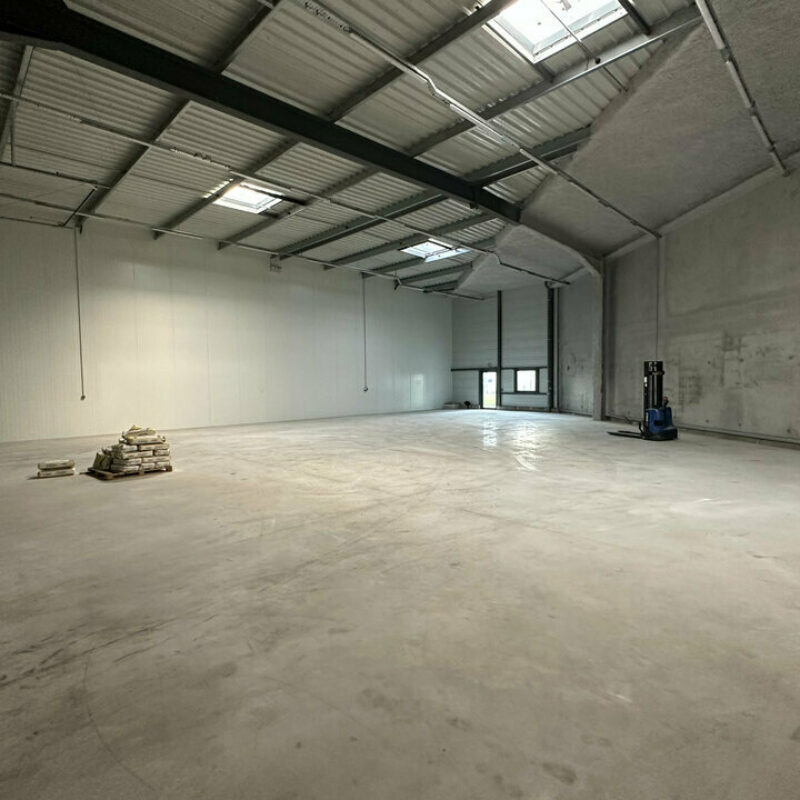 Location - 671 m² - BISCHHEIM - 4