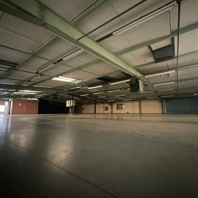 Vente - 4043 m² - DUPPIGHEIM - 3