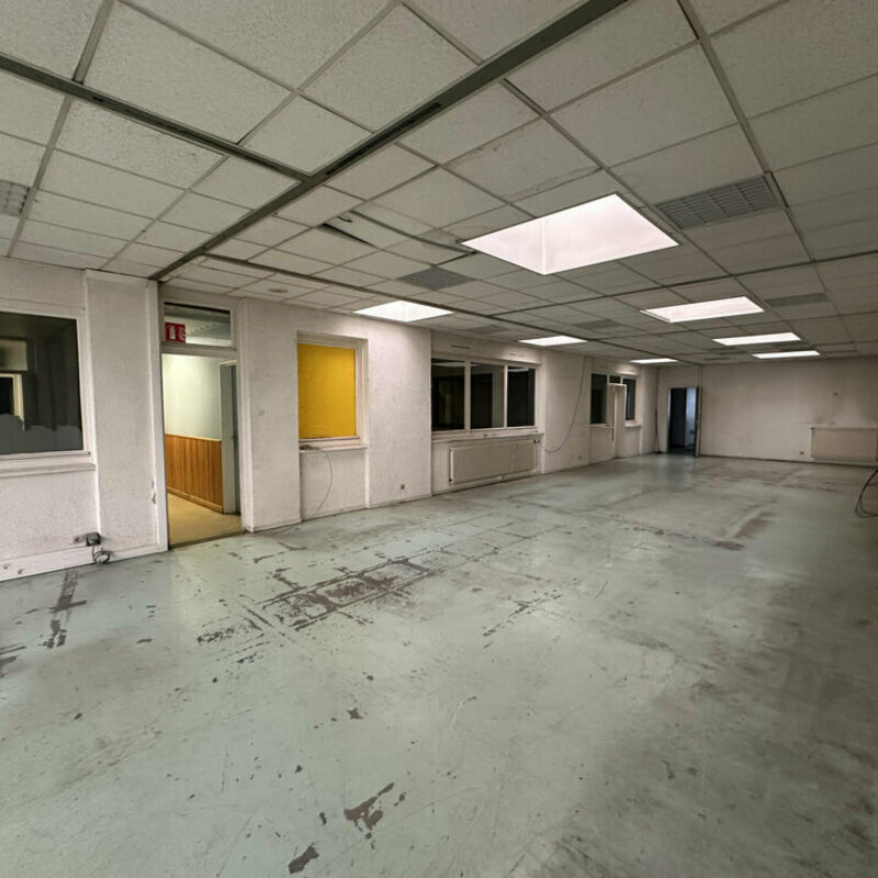 Vente - 4043 m² - DUPPIGHEIM - 4