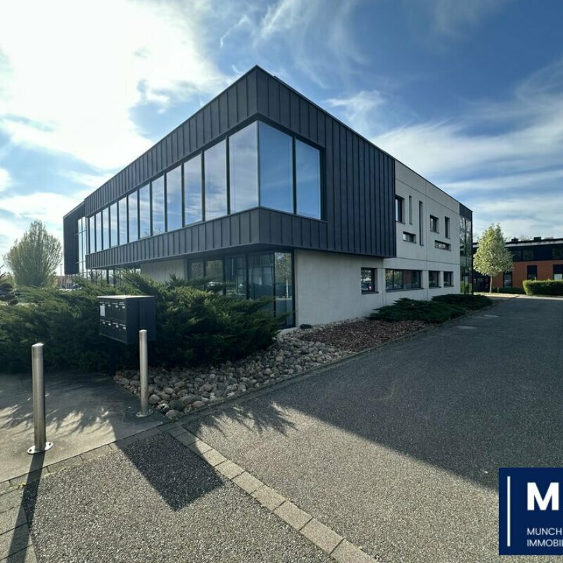 Location - 383.86 m² - ENTZHEIM - 1