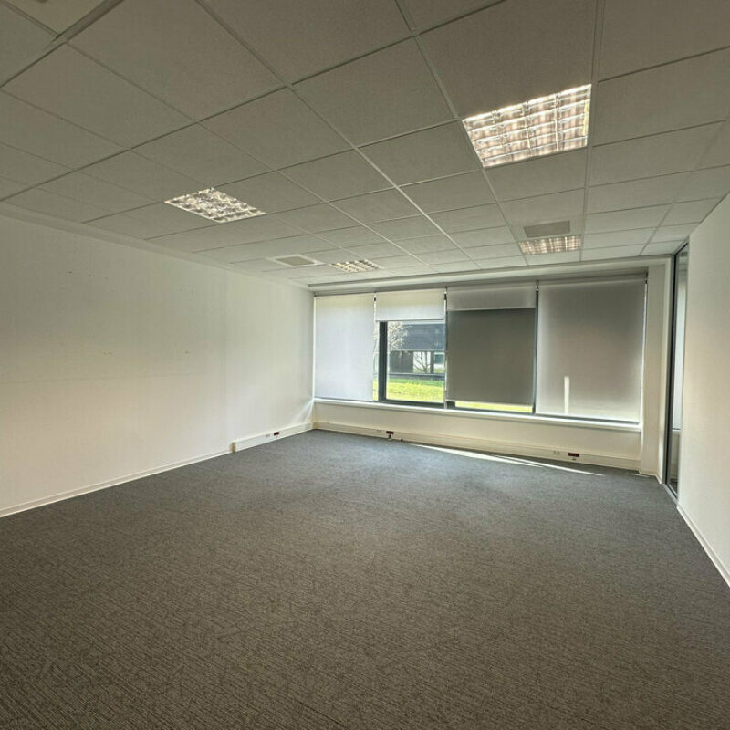 Location - 383.86 m² - ENTZHEIM - 5