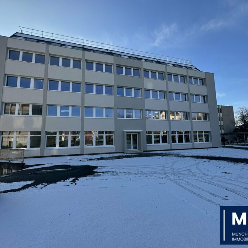 Location - 680 m² - STRASBOURG - 1