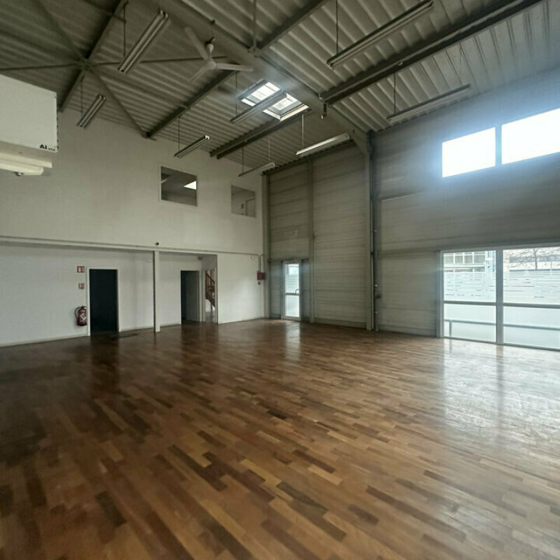 Location - 740 m² - GEISPOLSHEIM - 3