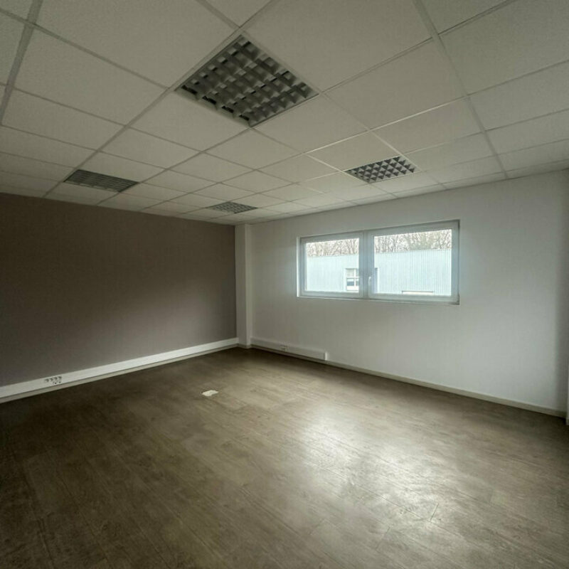 Location - 740 m² - GEISPOLSHEIM - 5