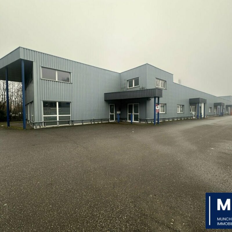 Location - 740 m² - GEISPOLSHEIM - 1