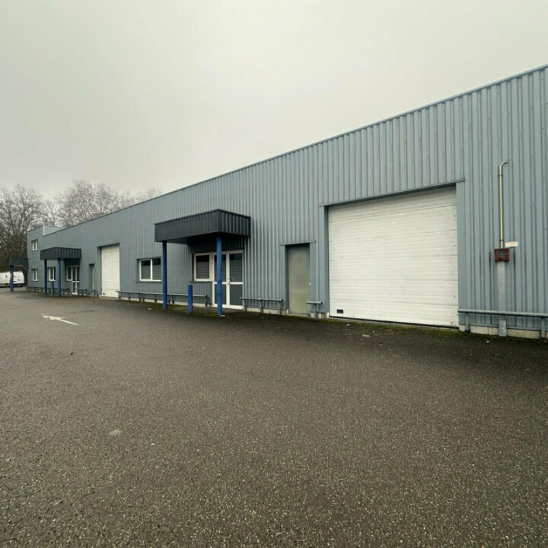 Location - 740 m² - GEISPOLSHEIM - 2