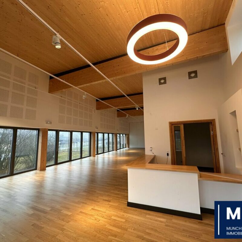 Vente - 505 m² - MONSWILLER - 1