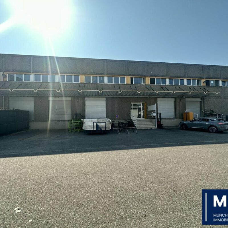 Location - 2425.4 m² - STRASBOURG - 1