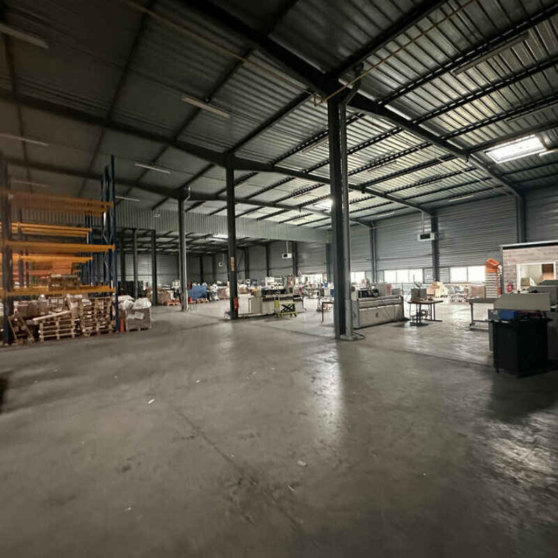 Location - 2665 m² - ILLKIRCH-GRAFFENSTADEN - 1