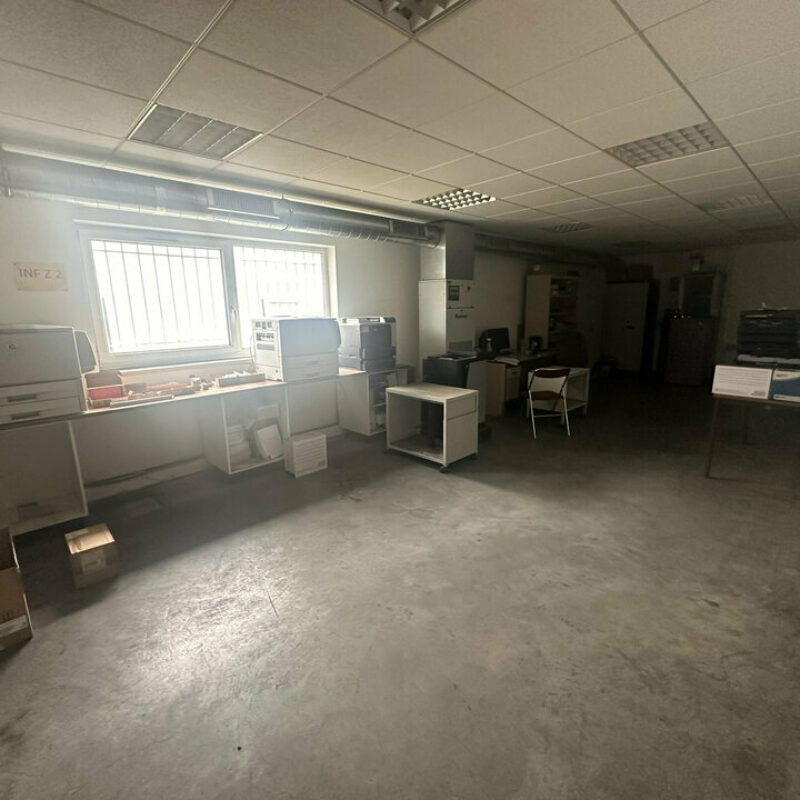 Location - 2665 m² - ILLKIRCH-GRAFFENSTADEN - 4