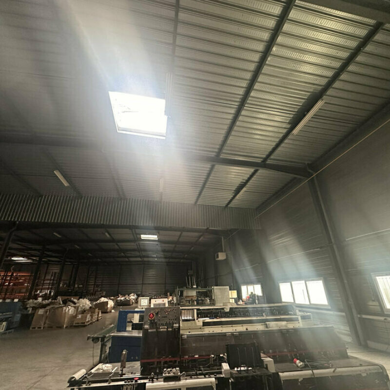 Location - 2665 m² - ILLKIRCH-GRAFFENSTADEN - 5