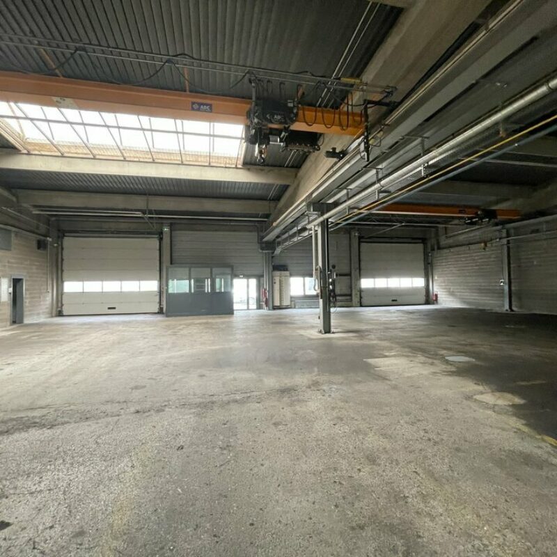 Vente - 1301.5 m² - BISCHHEIM - 3