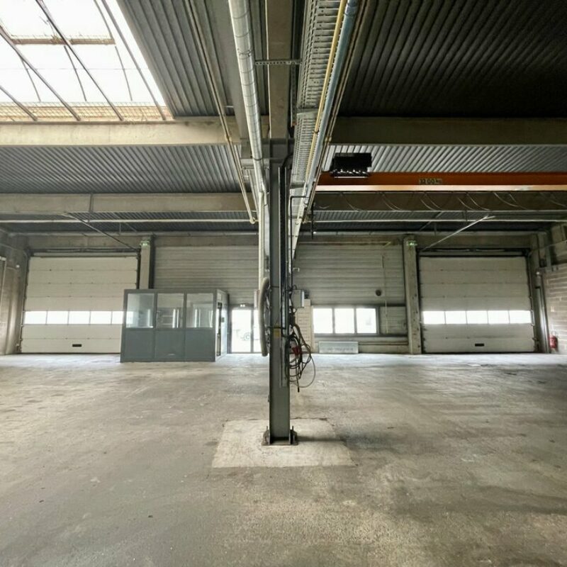 Vente - 1301.5 m² - BISCHHEIM - 2