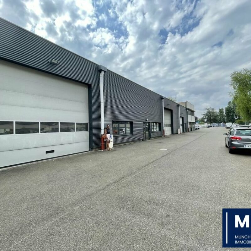 Vente - 1301.5 m² - BISCHHEIM - 1