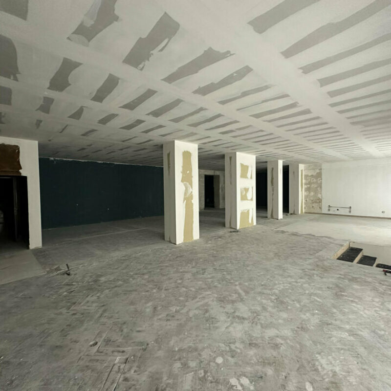 Location - 240 m² - STRASBOURG - 3