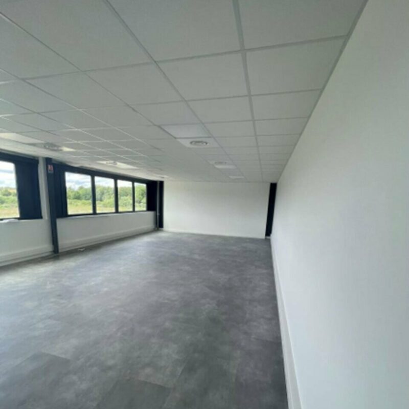 Location - 2244 m² - BERNOLSHEIM - 4