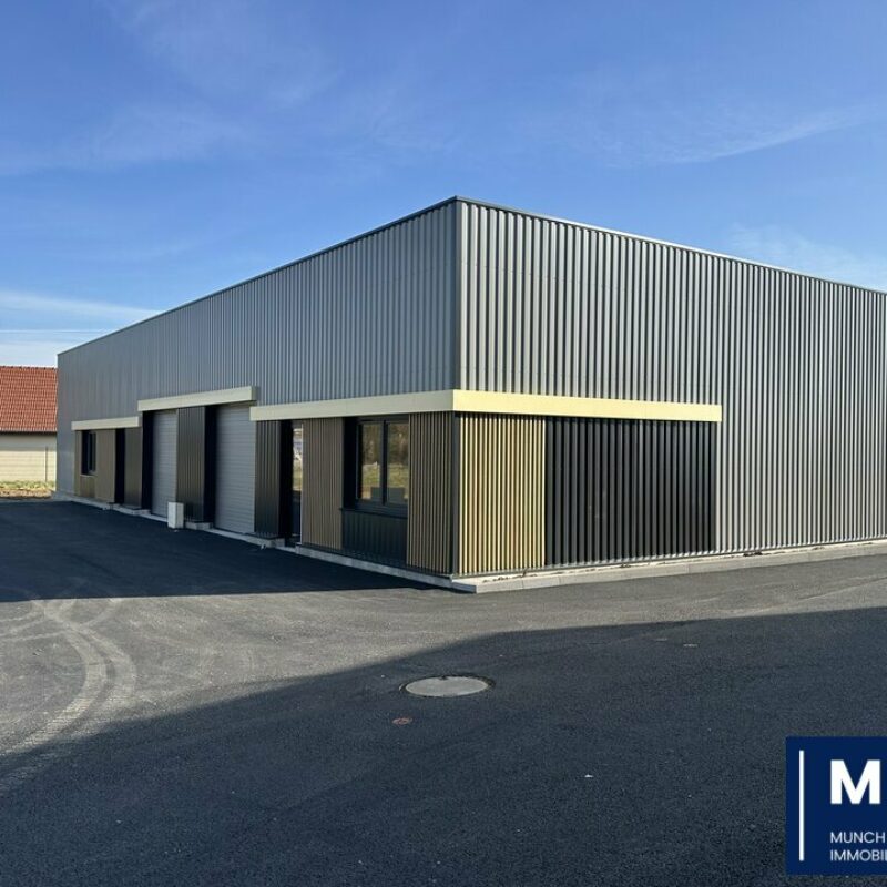 Vente - 152.6 m² - WINGERSHEIM - 1