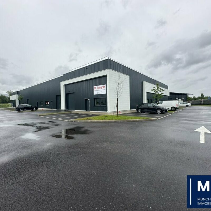 Vente - 474 m² - GOXWILLER - 1