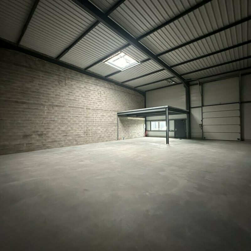 Vente - 474 m² - GOXWILLER - 4