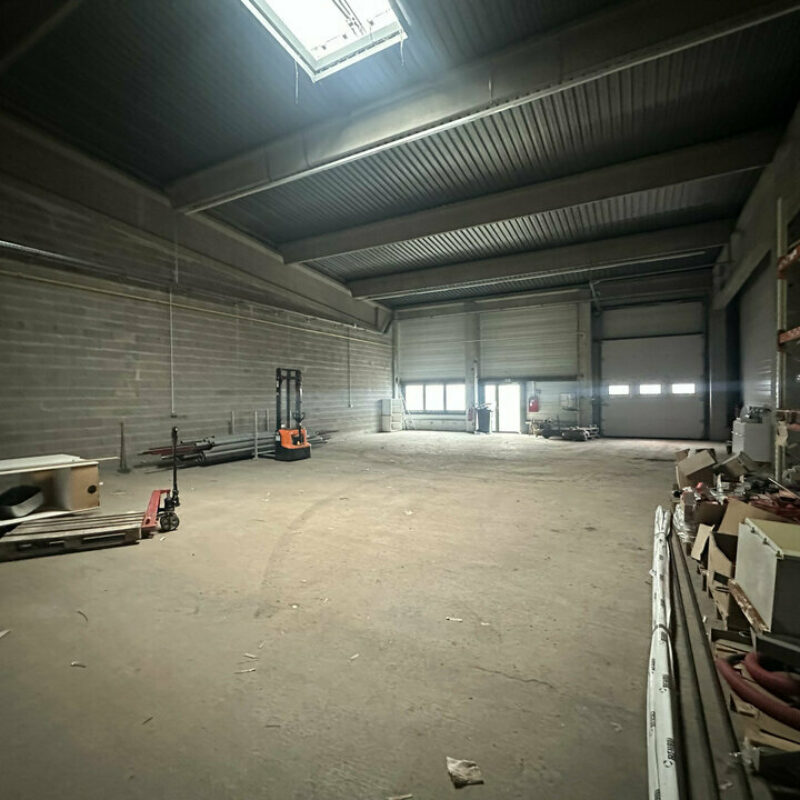 Vente - 1301.5 m² - BISCHHEIM - 5