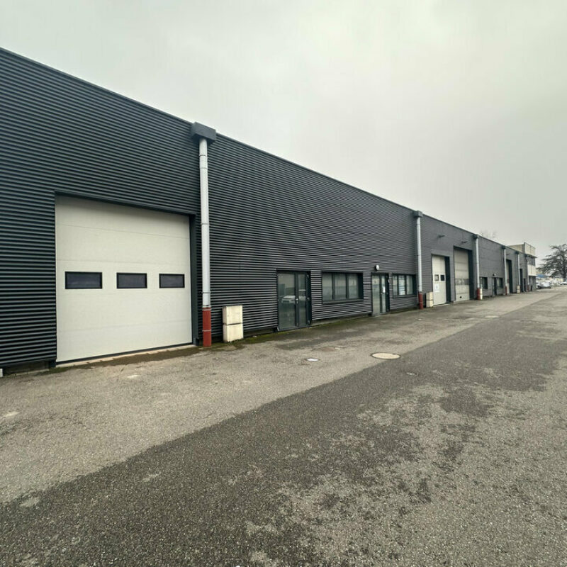 Vente - 1301.5 m² - BISCHHEIM - 2