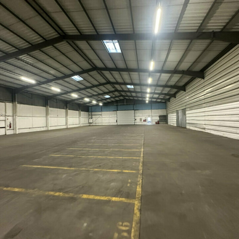 Location - 1815 m² - STRASBOURG - 3