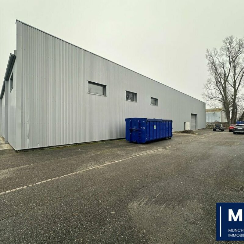 Location - 1815 m² - STRASBOURG - 1