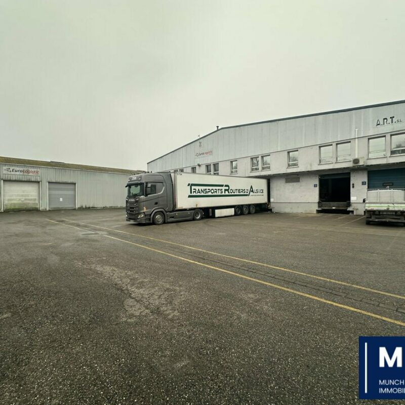 Location - 5644.33 m² - STRASBOURG - 1