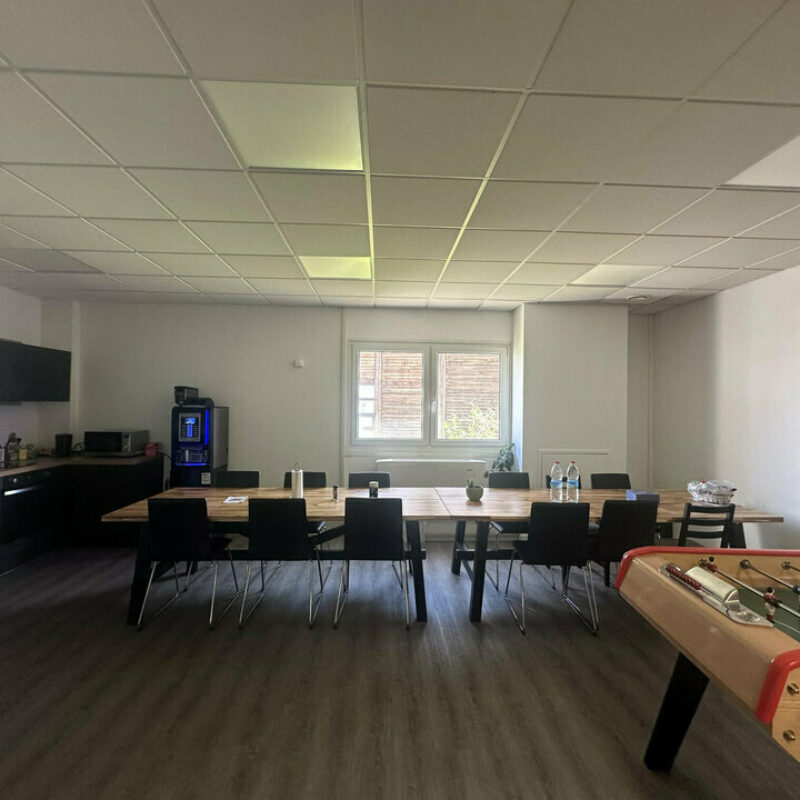 Location - 343 m² - ENTZHEIM - 5