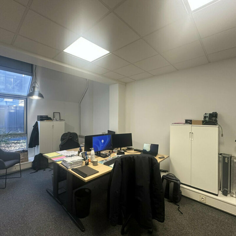 Location - 343 m² - ENTZHEIM - 3