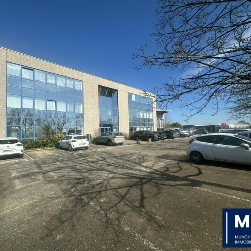 Location - 343 m² - ENTZHEIM - 1