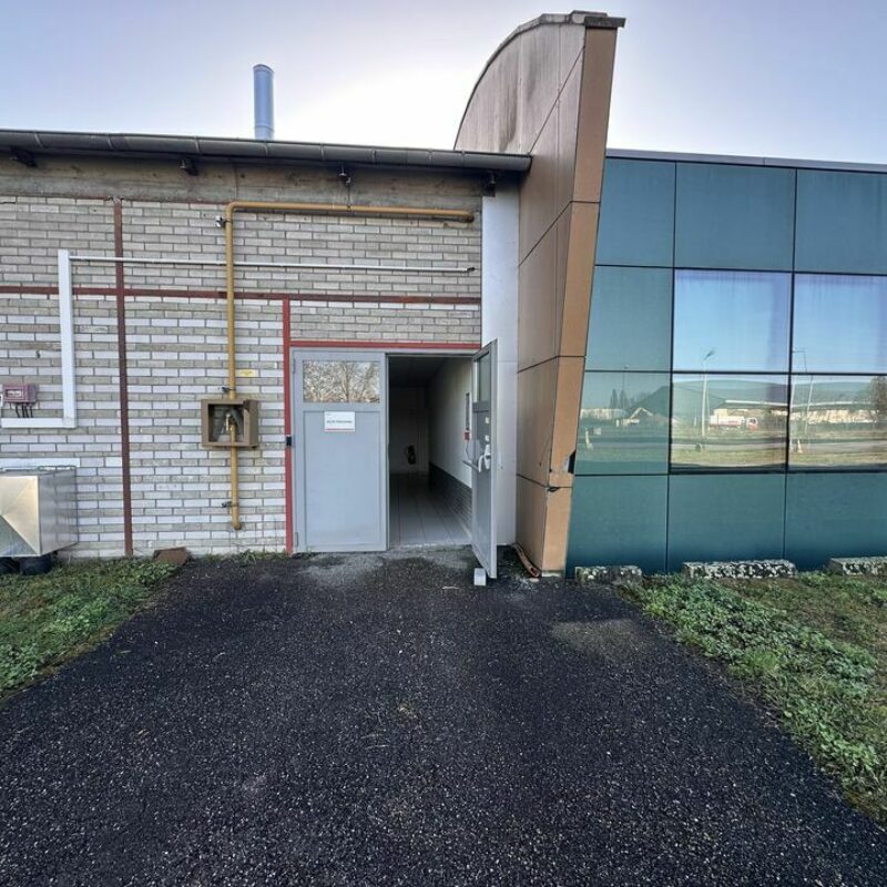 Location - 500 m² - STRASBOURG - 3