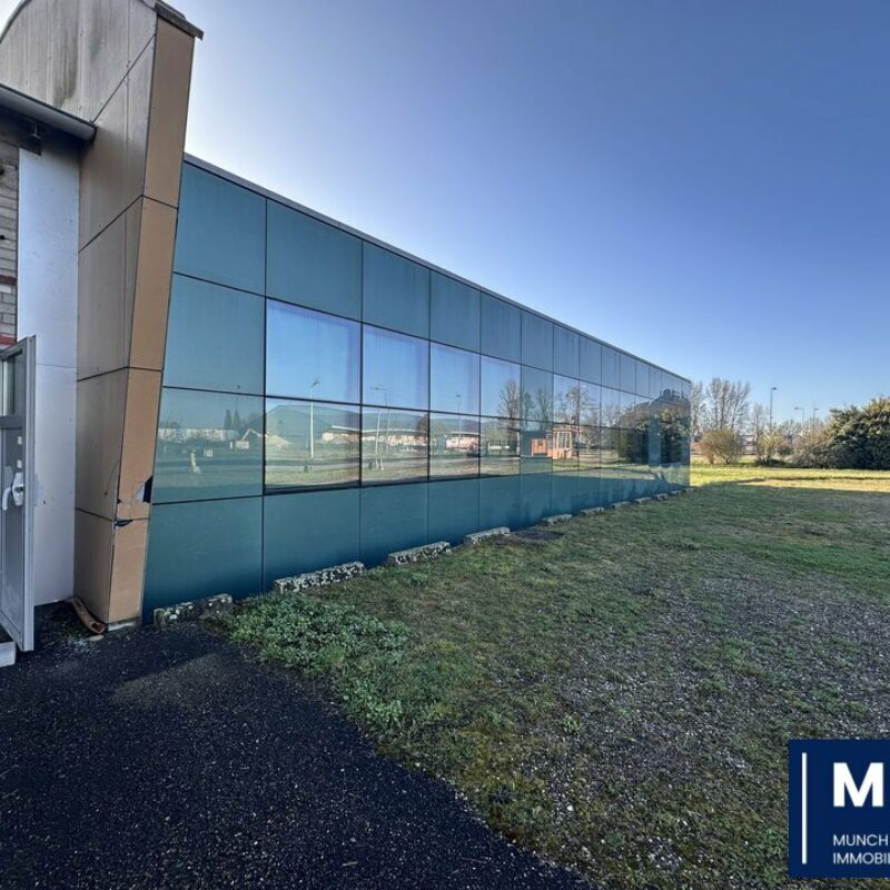 Location - 500 m² - STRASBOURG - 1