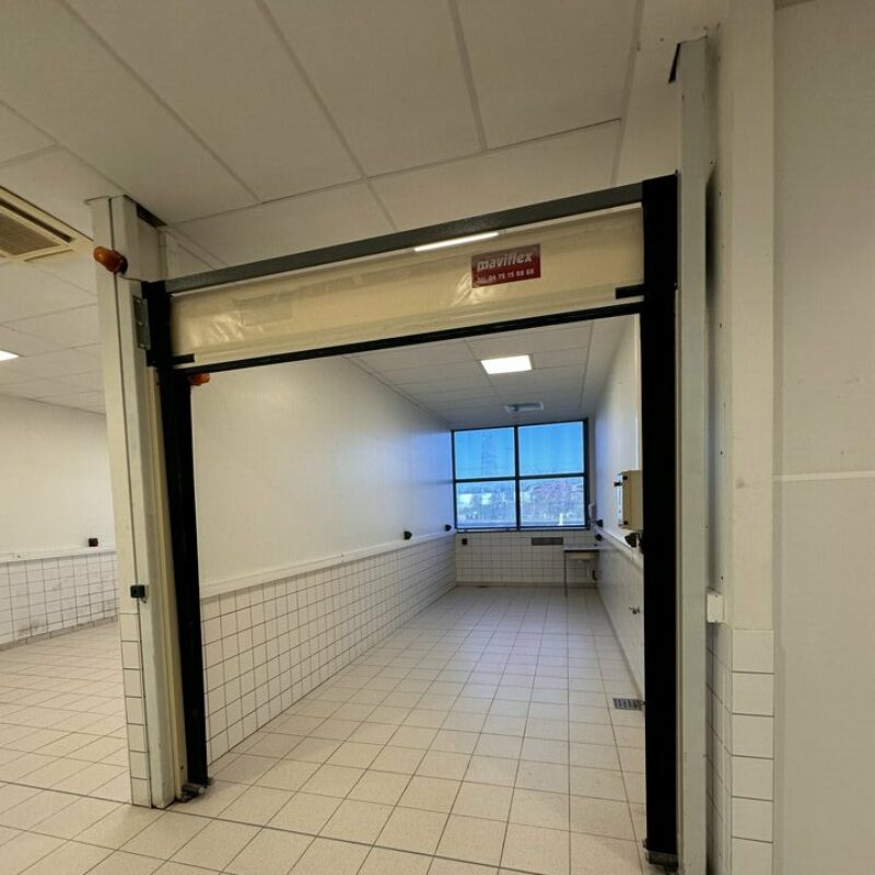 Location - 500 m² - STRASBOURG - 5