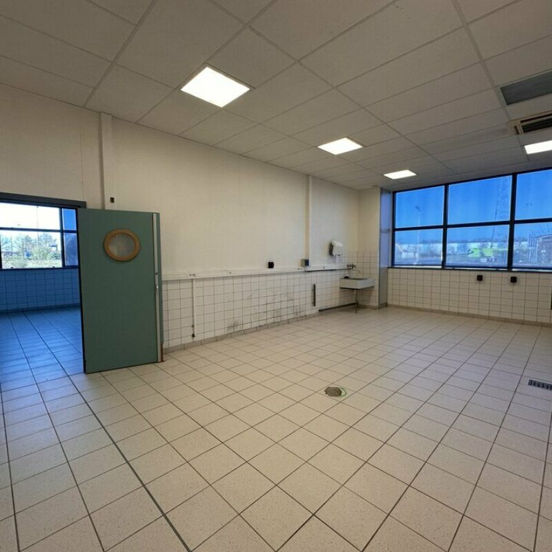 Location - 500 m² - STRASBOURG - 2