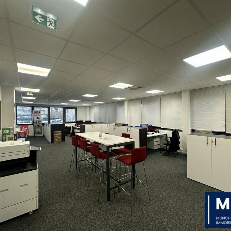 Location - 176 m² - STRASBOURG - 1