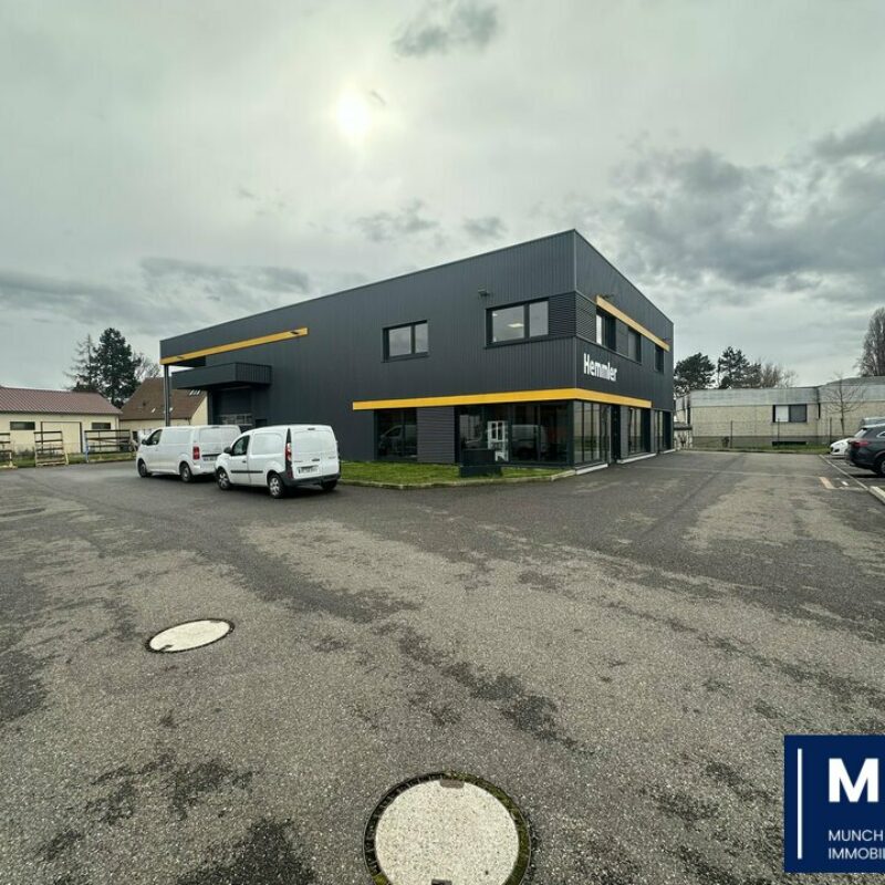 Vente - 494 m² - ESCHAU - 1