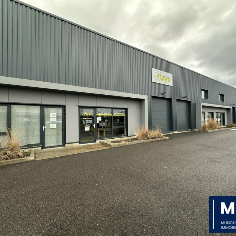 Location - 153 m² - ESCHAU - 1