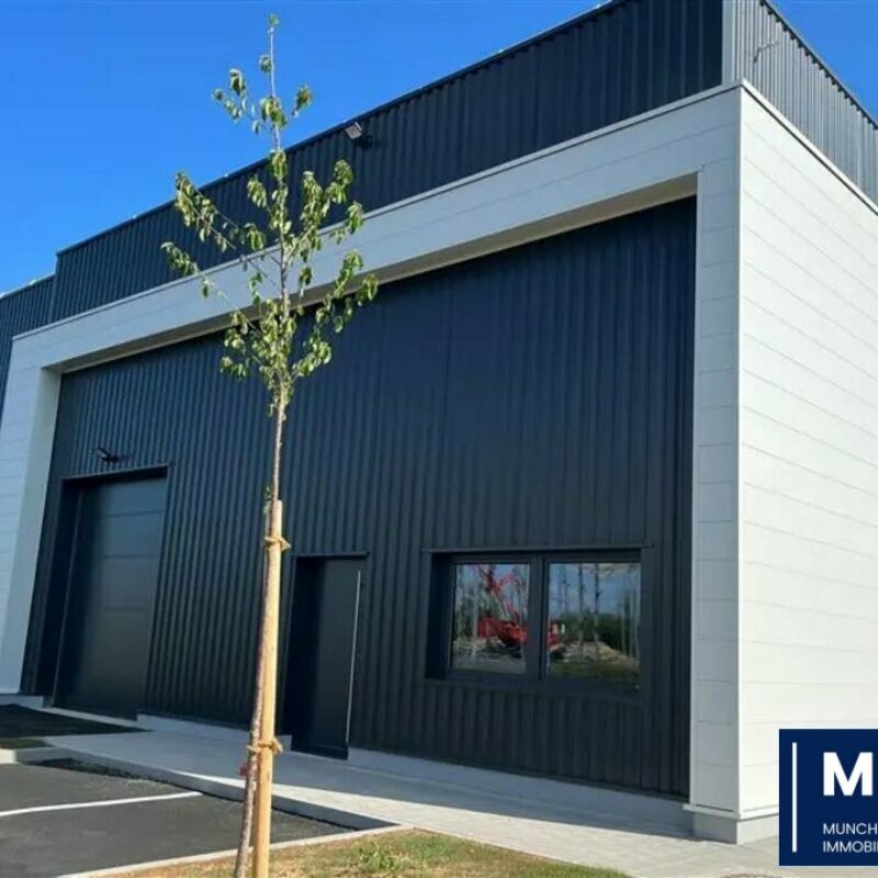 Location - 180 m² - GOXWILLER - 1