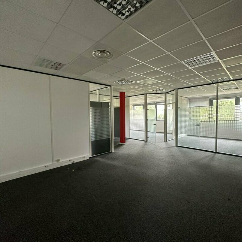 Location - 314 m² - SCHILTIGHEIM - 5