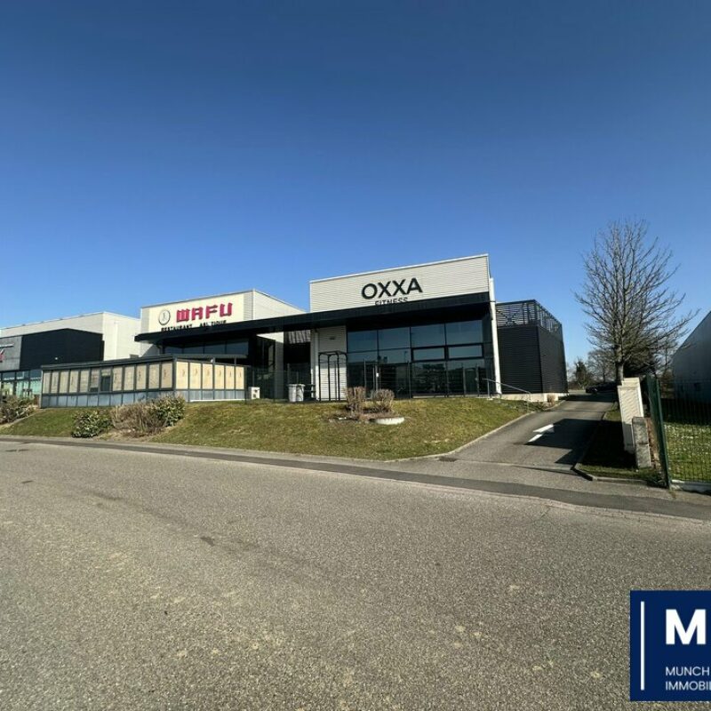 Location - 440 m² - BRUMATH - 1