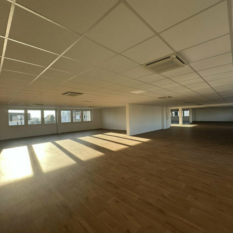 Location - 680 m² - STRASBOURG - 4