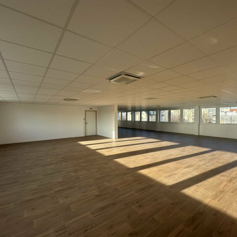 Location - 680 m² - STRASBOURG - 5