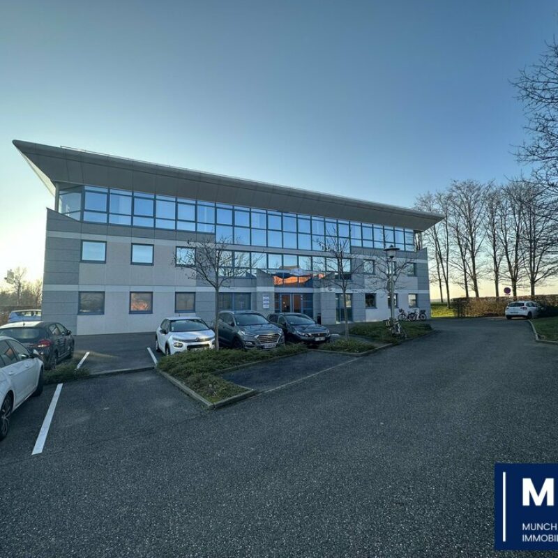 Location - 395 m² - ENTZHEIM - 1