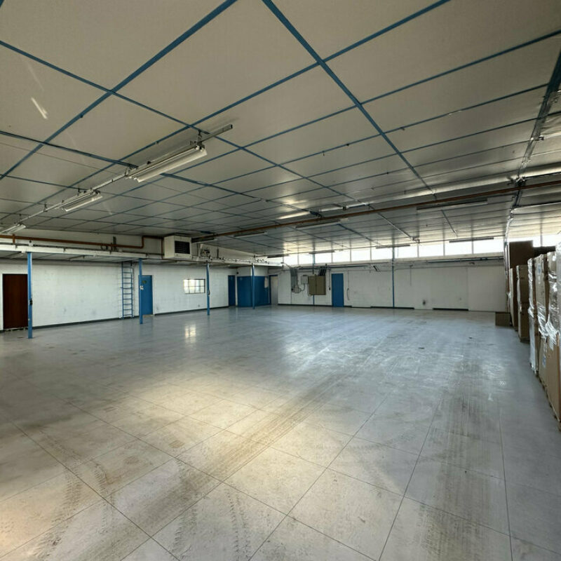 Location - 1400 m² - DUTTLENHEIM - 4