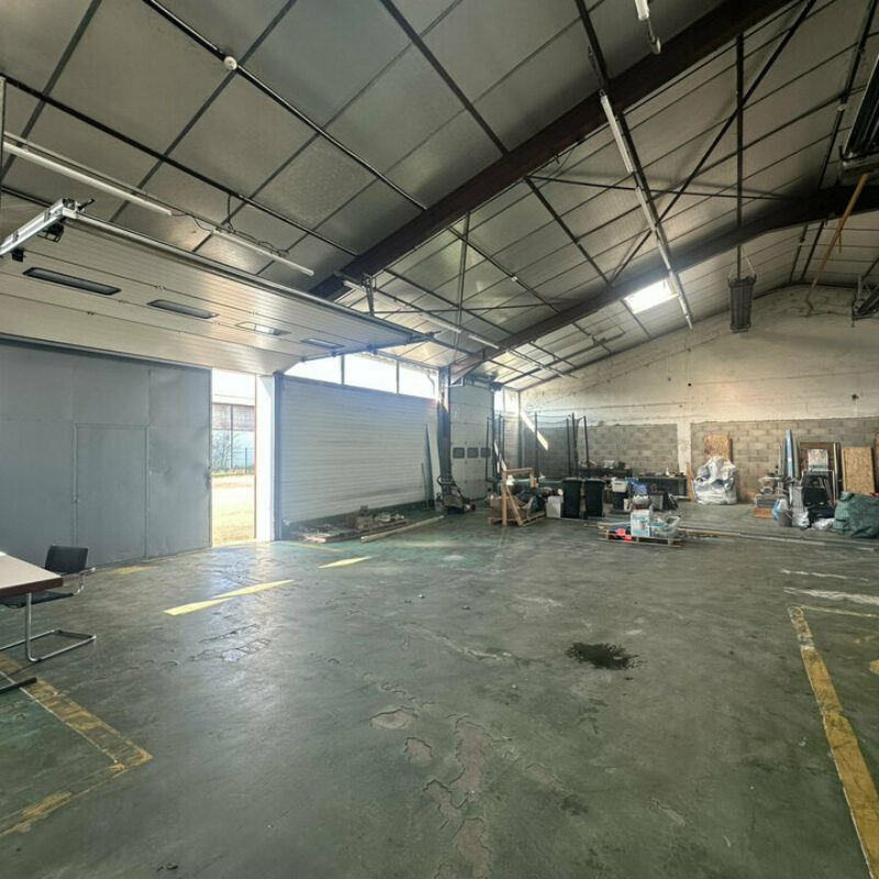 Location - 1400 m² - DUTTLENHEIM - 3